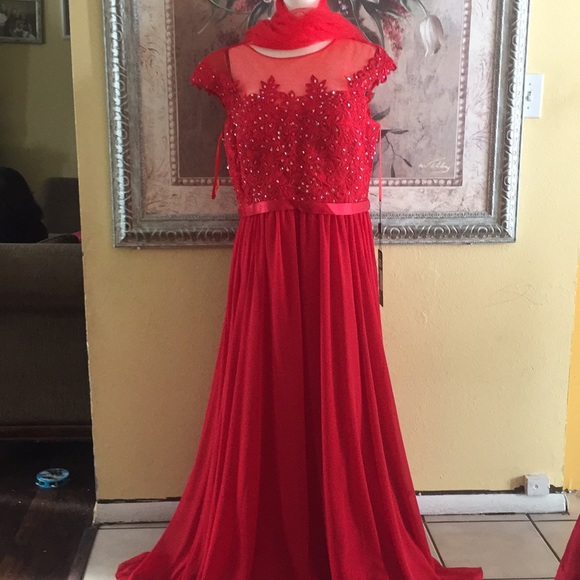 2XL - Picture 3 of 8